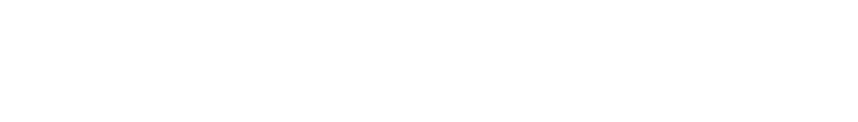 트윈버스 비전 배경